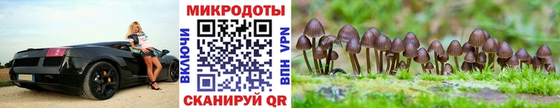 где продают   Подпорожье  Галлюциногенные грибы прущие грибы 